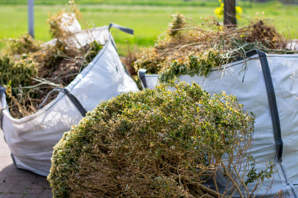 Best Demolition Debris Removal  in Lincoln, ND