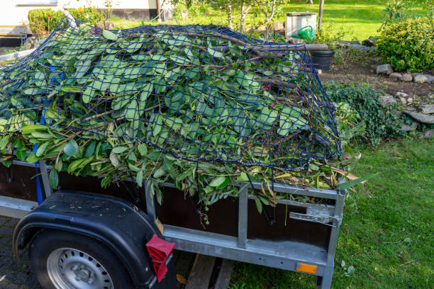Best Moving and Downsizing Cleanouts  in Lincoln, ND